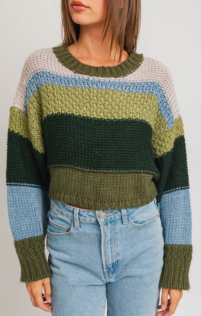 Le Lis Olive and Multi Cropped Sweater