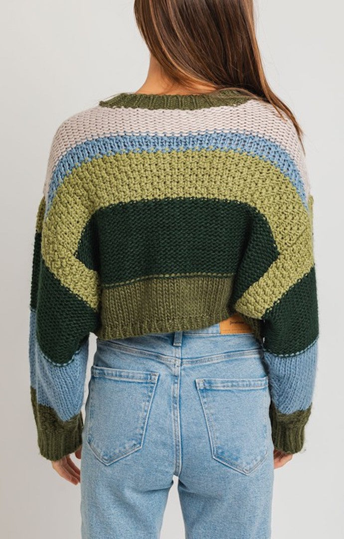 Le Lis Olive and Multi Cropped Sweater