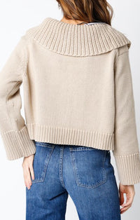 Olivaceous Khaki V-Neck Collared Sweater