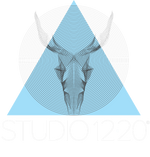 Studio 12·20